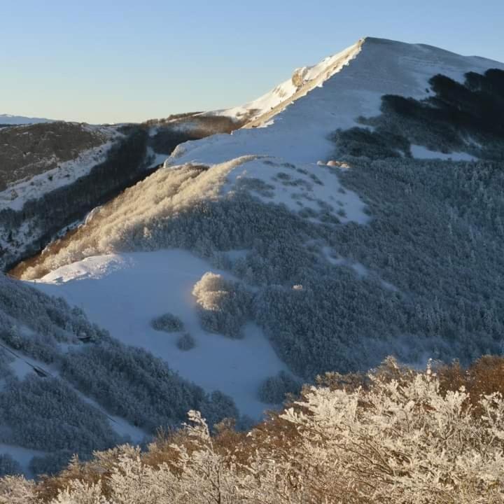 Villard De Lans Екстериор снимка