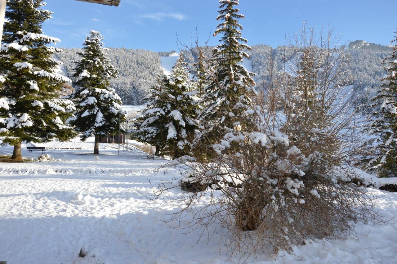 Villard De Lans Екстериор снимка